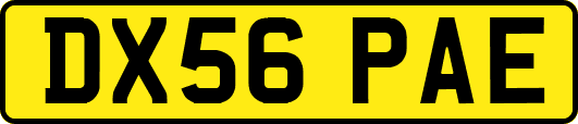 DX56PAE