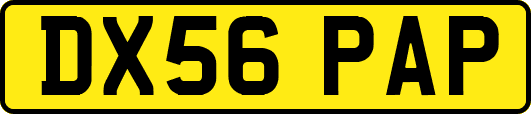 DX56PAP