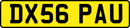 DX56PAU