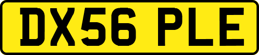 DX56PLE