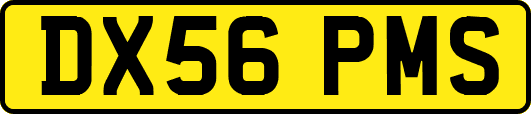 DX56PMS