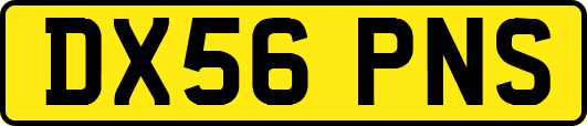 DX56PNS