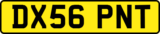 DX56PNT