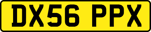 DX56PPX