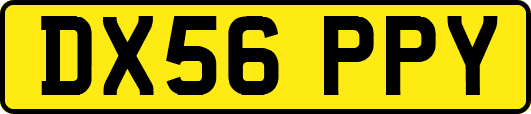 DX56PPY