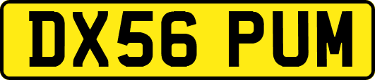 DX56PUM