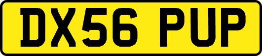 DX56PUP