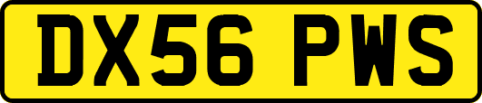 DX56PWS