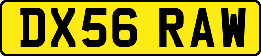 DX56RAW