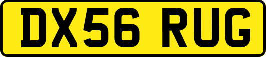 DX56RUG