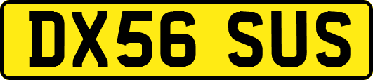 DX56SUS