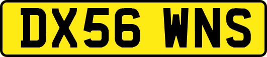 DX56WNS