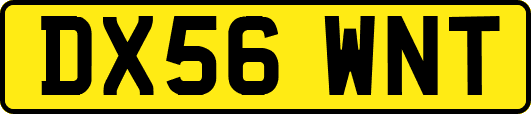 DX56WNT