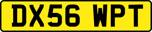 DX56WPT