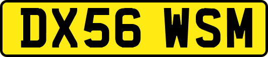 DX56WSM
