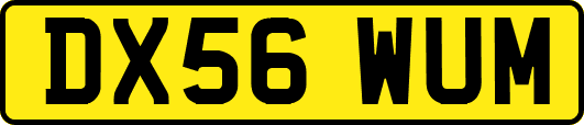 DX56WUM