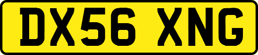 DX56XNG