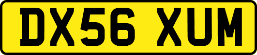 DX56XUM