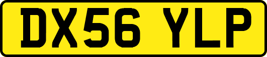 DX56YLP