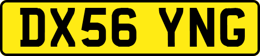 DX56YNG