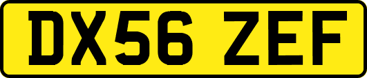 DX56ZEF