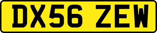 DX56ZEW
