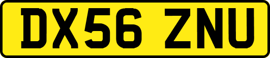 DX56ZNU