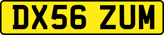 DX56ZUM