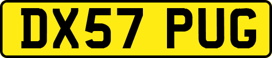 DX57PUG