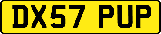 DX57PUP