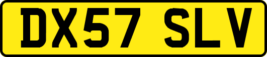 DX57SLV