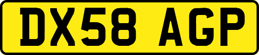 DX58AGP