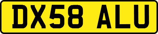 DX58ALU