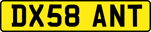 DX58ANT