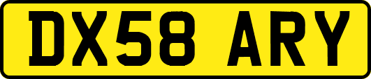 DX58ARY