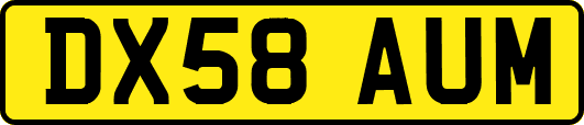 DX58AUM