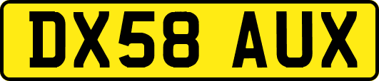 DX58AUX