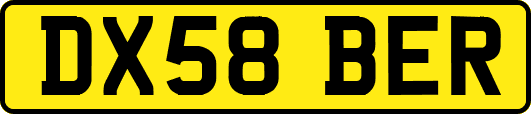 DX58BER