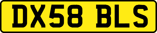 DX58BLS