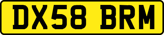 DX58BRM