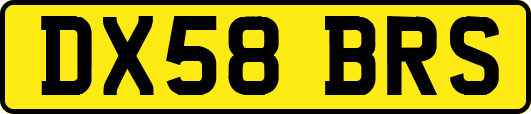 DX58BRS