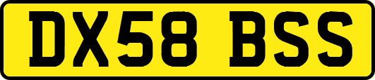 DX58BSS