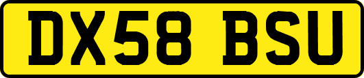 DX58BSU