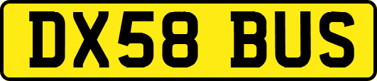 DX58BUS