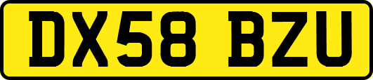 DX58BZU