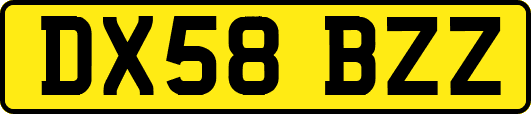 DX58BZZ