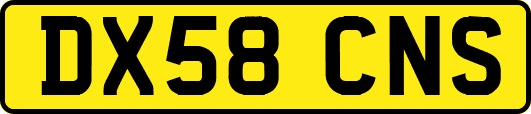 DX58CNS