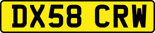 DX58CRW
