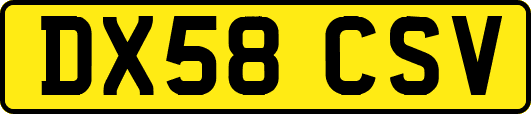 DX58CSV