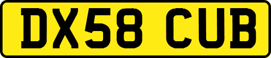 DX58CUB